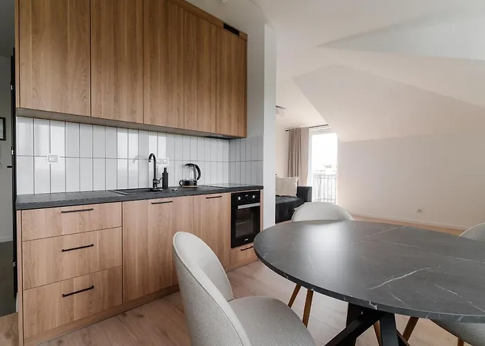 Zen Winda Klimatyzacja Dobra Energia Apartament Płock